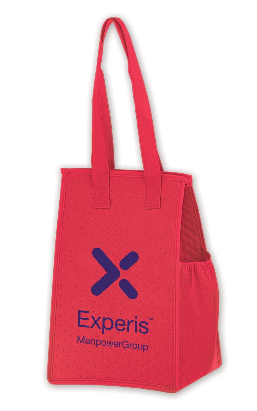Insulated Lunch Tote