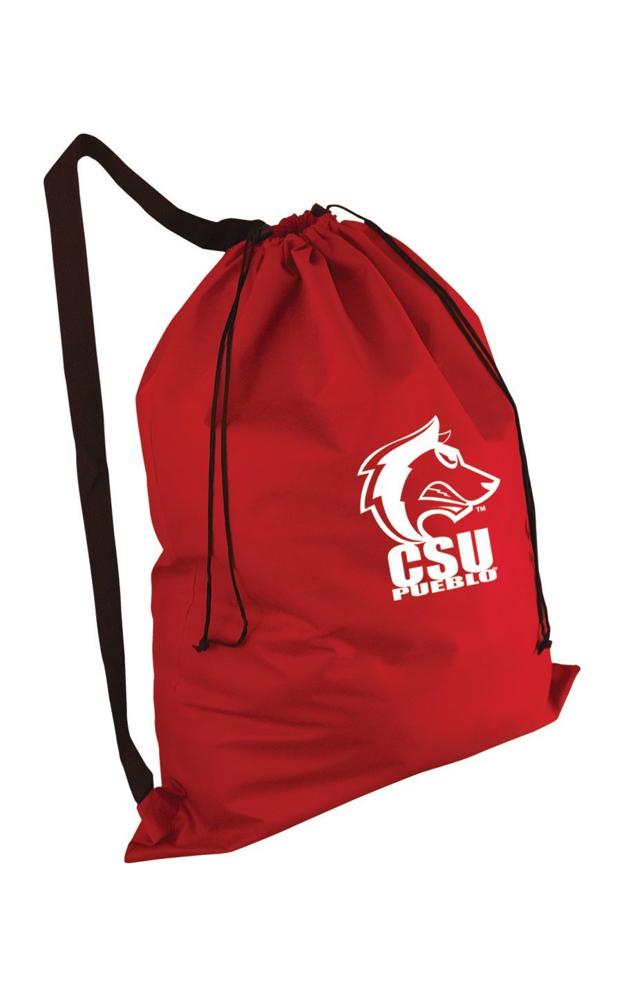 Non-Woven Laundry Bag