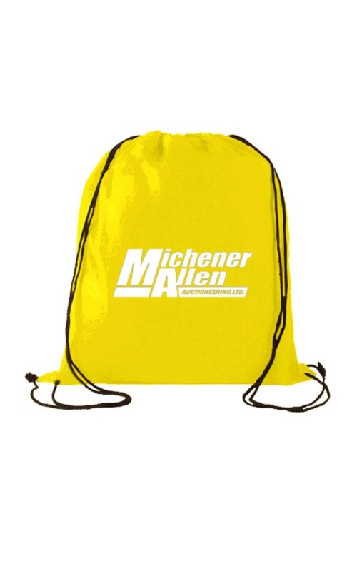 Economy Non Woven Drawstring Backpack